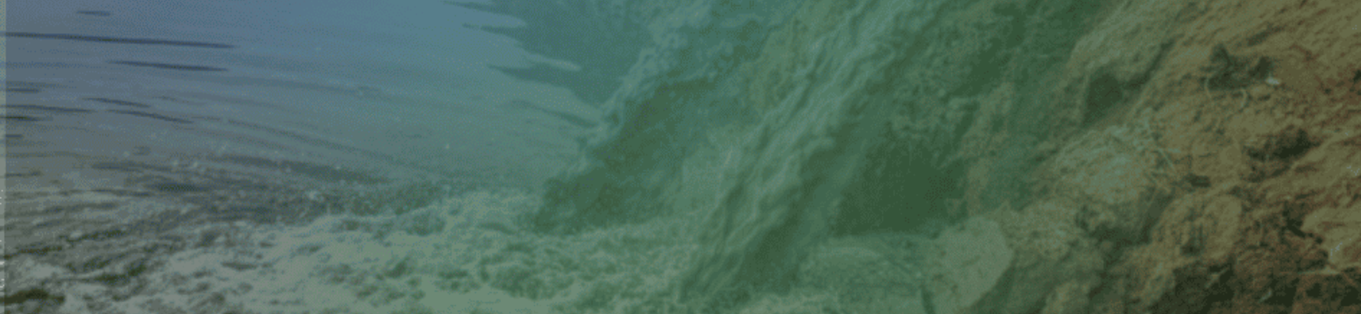 safeguarding water resources