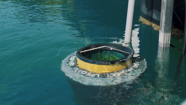  uno Seabin in mare, un cestino galleggiante progettato per rimuovere i rifiuti dall'acqua