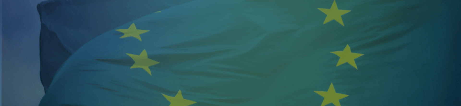 bandiera dell'unione europea