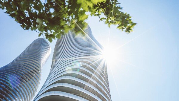 due grandi grattacieli visti dal basso e illuminati dal sole con a fianco dei rami verdi di un albero 