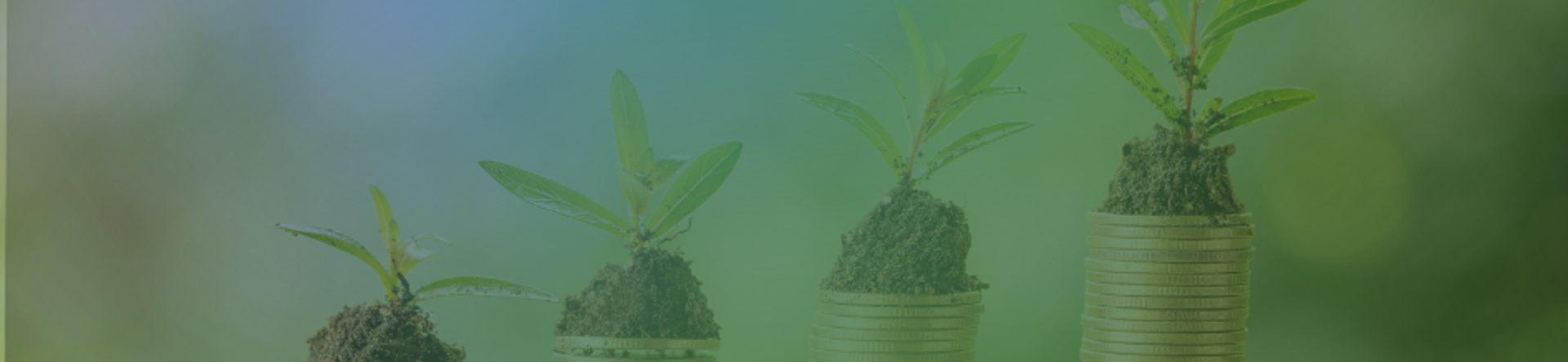 Verso gli stati generali della green economy 2024