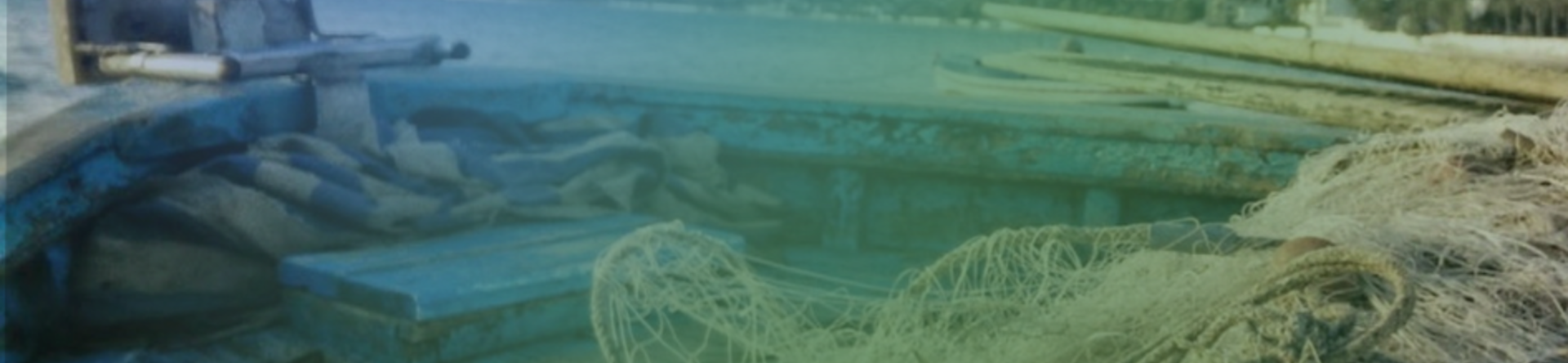 barca da pesca