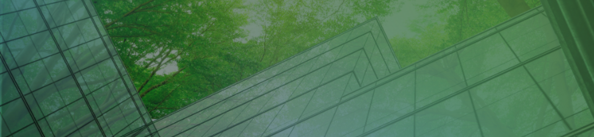 Companies: how to communicate the transition in the greenlash era? 