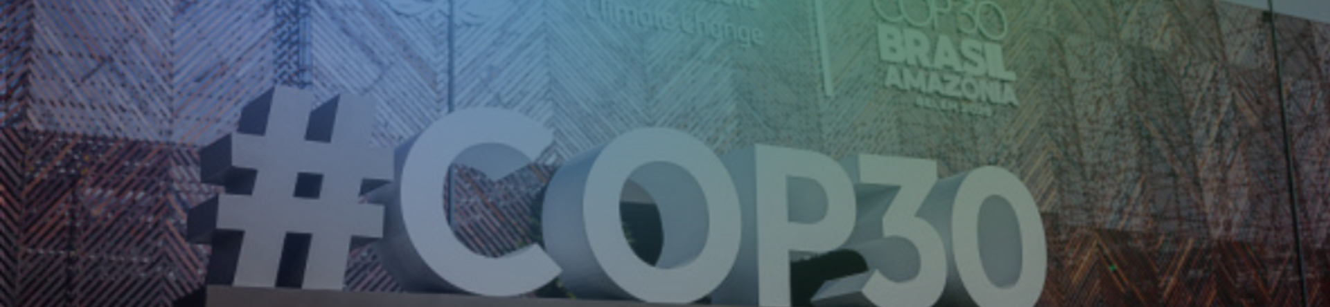 COP30, a fiasco to build the future upon