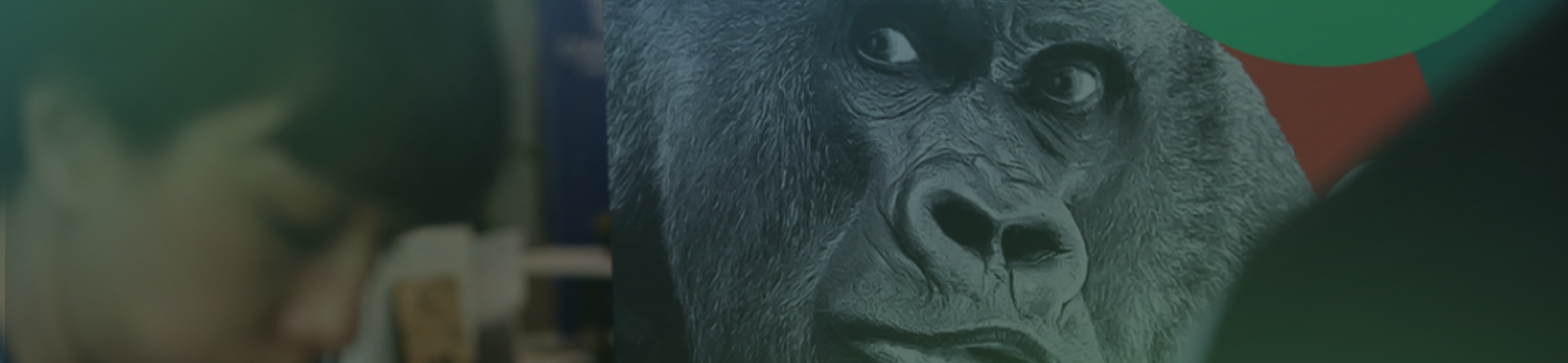 A fair and sustainable transition: 20 innovative startups from Morocco and Tunisia