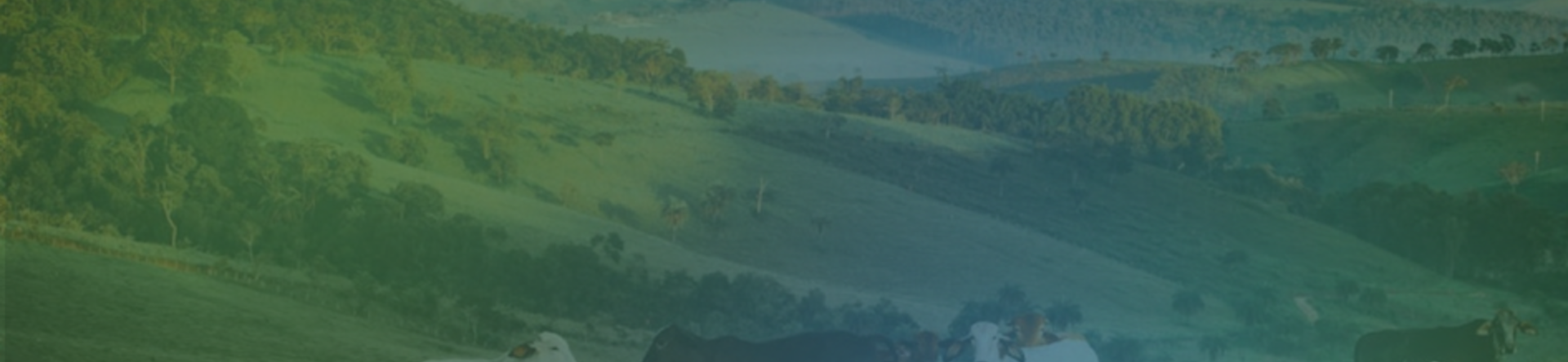 Sustainability, what will 2026 look like? 10 trends and events to look forward to