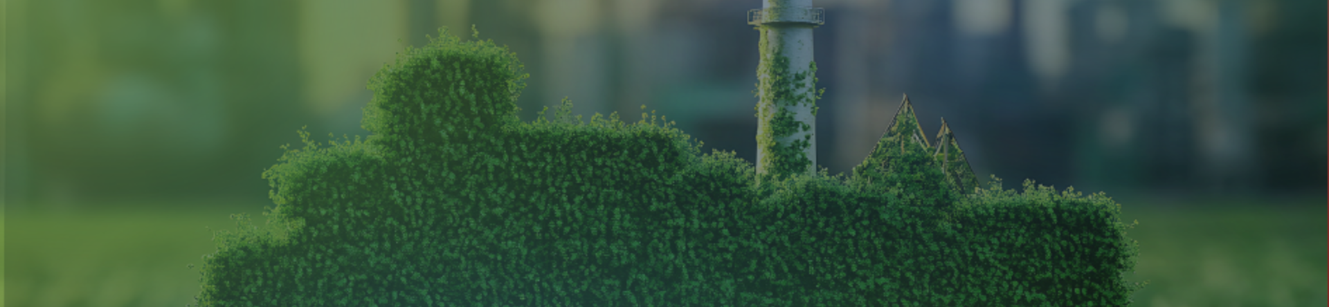 Oltre la sostenibilità tradizionale: come diventare un’impresa rigenerativa 