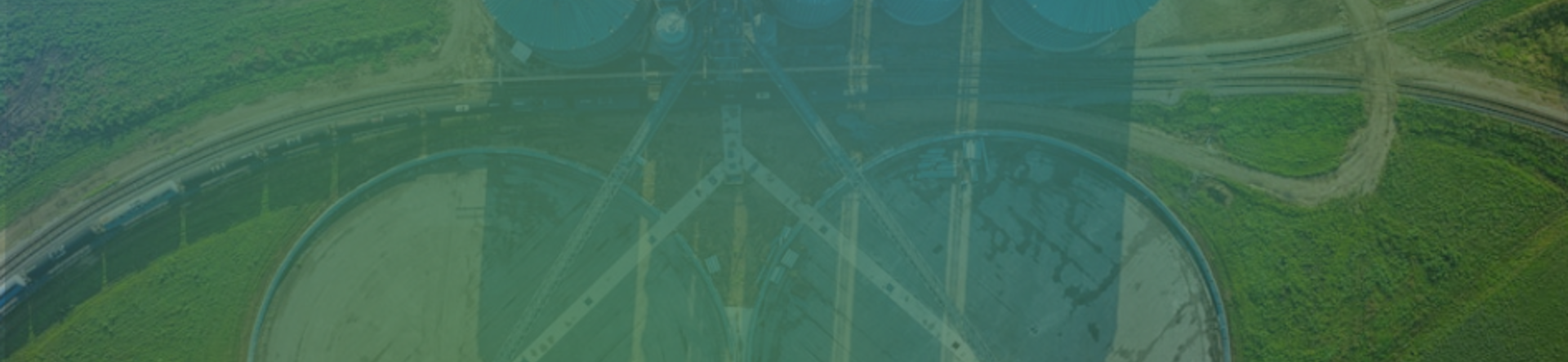 Bioenergy and industrial ecosystems: models and research projects in Europe