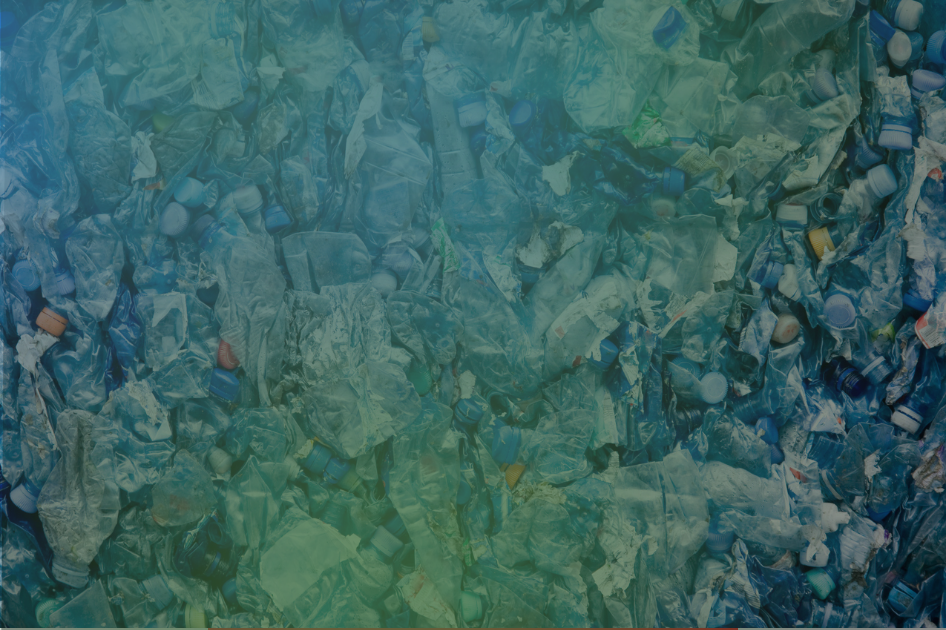 Luglio “plastic free”? Più che usare slogan bisogna cambiare i nostri comportamenti Luglio “plastic free”? Più che usare slogan bisogna cambiare i nostri comportamenti