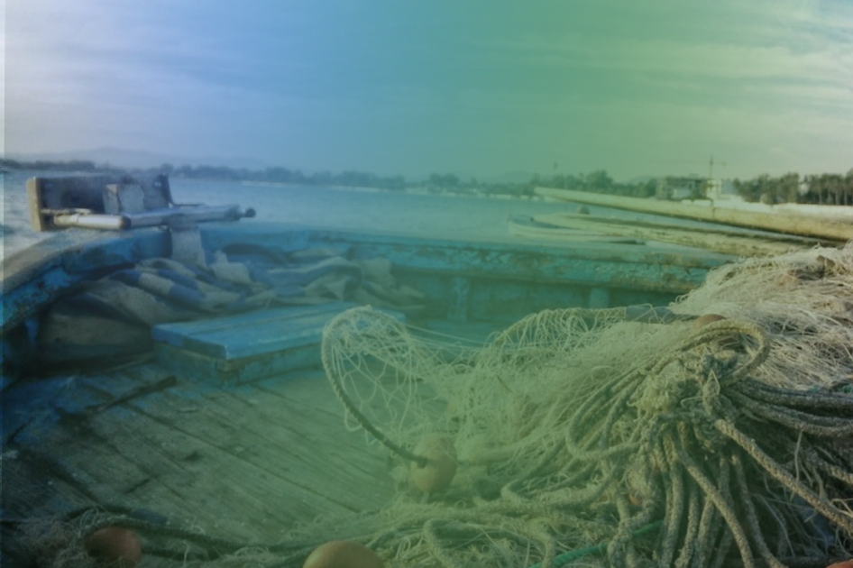 Pesca sostenibile, una sfida globale: salvare il mare partendo dalla tavola Pesca sostenibile, una sfida globale: salvare il mare partendo dalla tavola