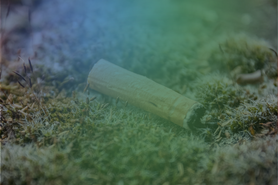 Come on, it's just a cigarette stub Come on, it's just a cigarette stub