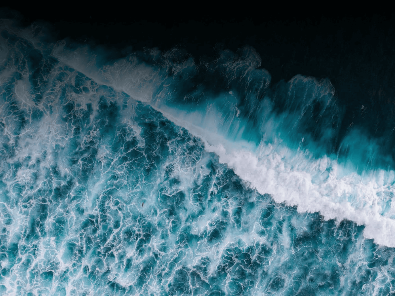 Water Defender Alliance Water Defender Alliance