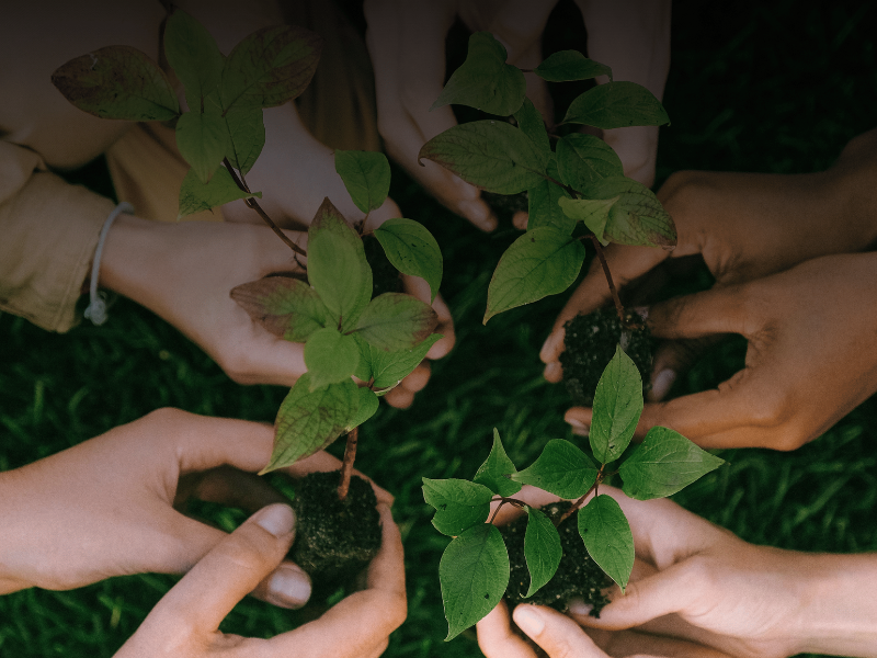 A trade fair district of low impact A trade fair district of low impact