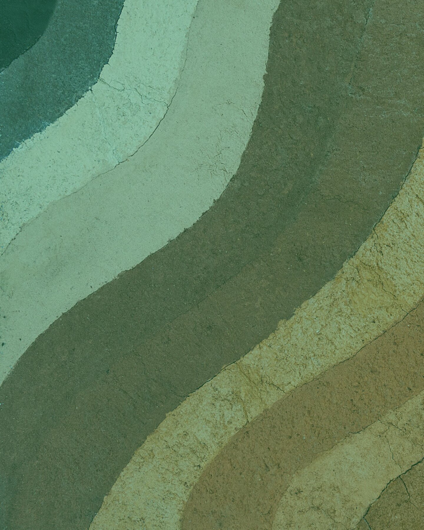 Sites & Soil Restoration