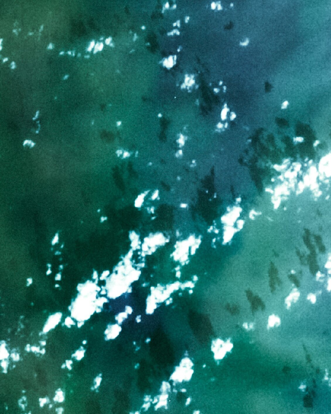 general states of the green economy banner