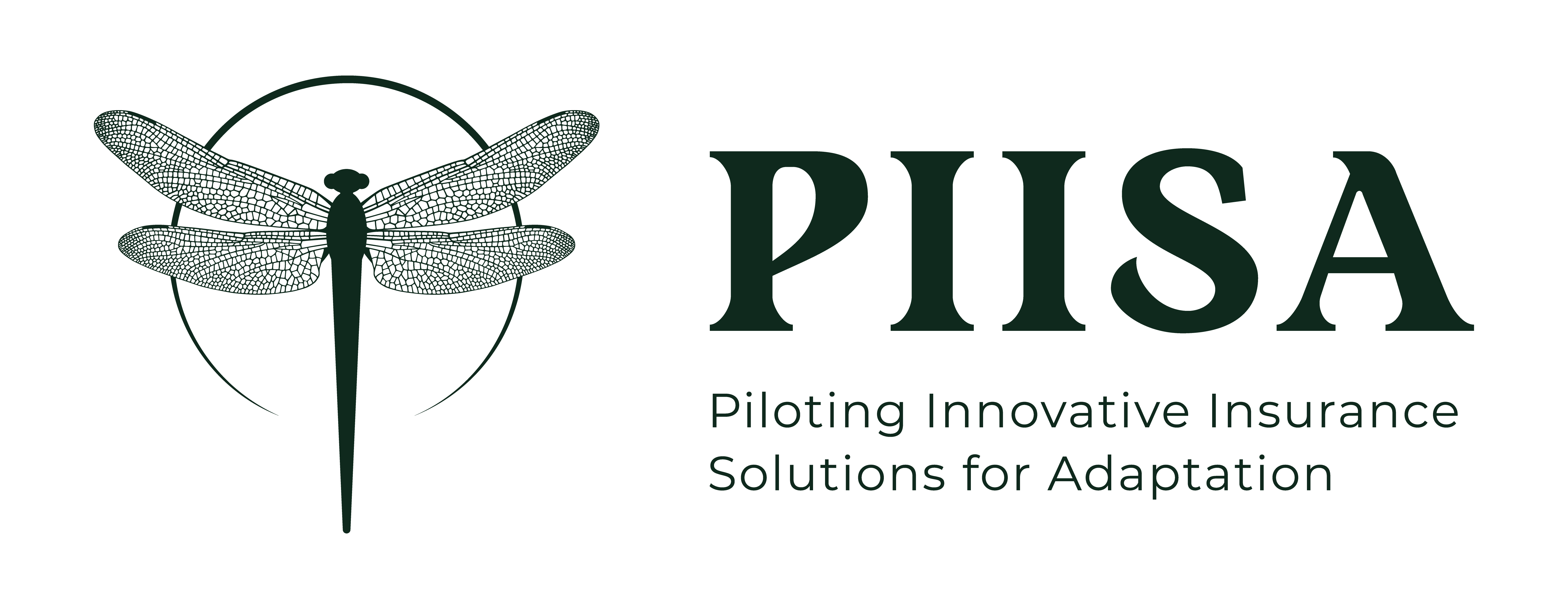 The role of insurance in adaptation to climate change: what we learned from PIISA.