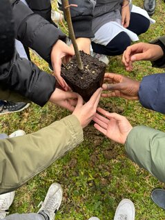 "A Tree for the Future" Project